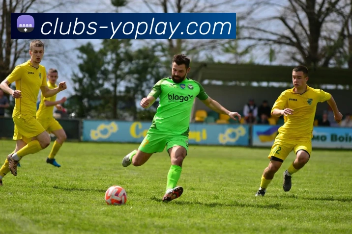 YOPLAY官网平台生态图